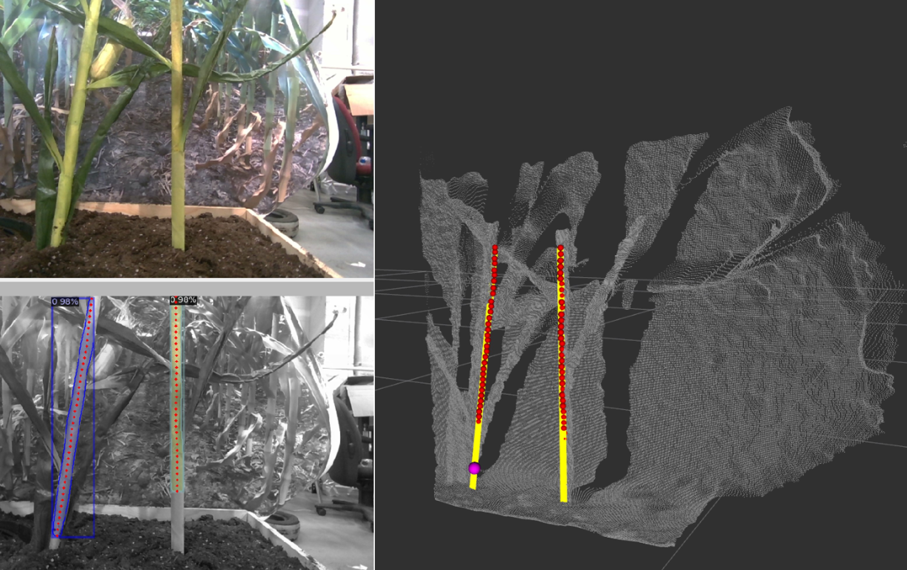 Interpolate start reference image.