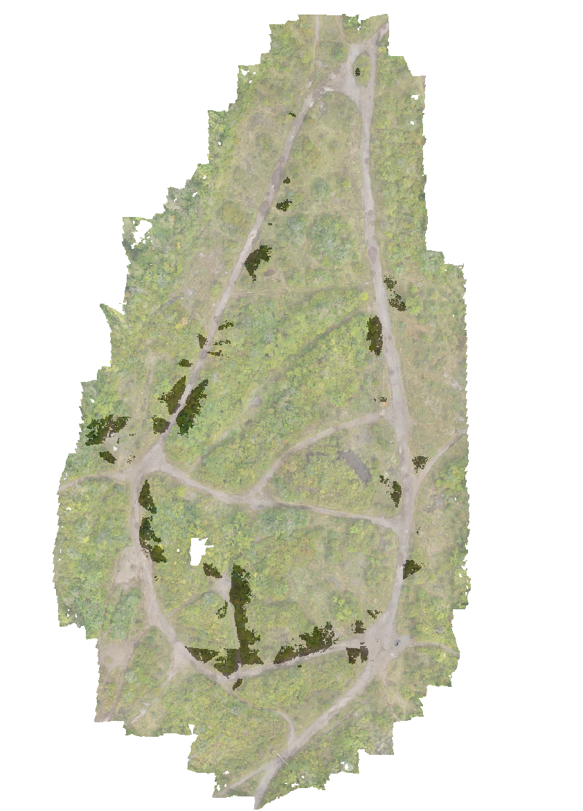 Grounding and geolocalization